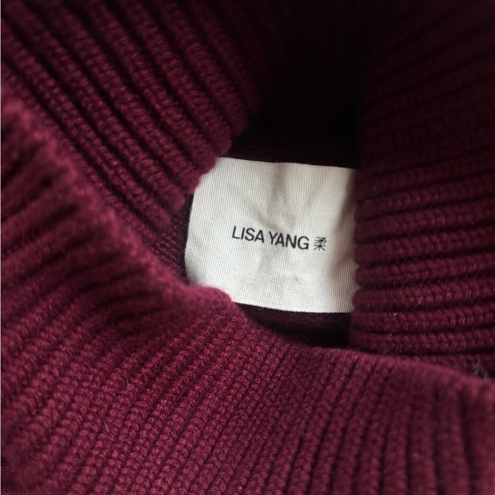 Lisa Yang Heidi Burgundy Cashmere Turtleneck Sweater - Picture 5 of 6